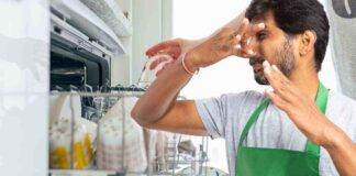 Cattivo odore di pesce nella lavastoviglie - RicettaSprint