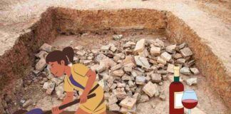 Scavo archeologico con scoperta sul vino