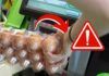 Richiamo alimentare per uova fresche coinvolte in rischio microbiologico