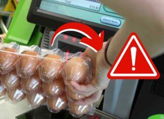 Richiamo alimentare per uova fresche coinvolte in rischio microbiologico