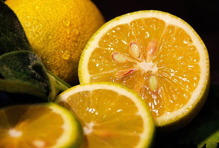 limone ricettasprint.it