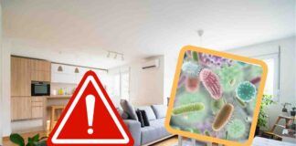 Pericolo batteri lo smartphone è l'oggetto più contaminato che tocchiamo