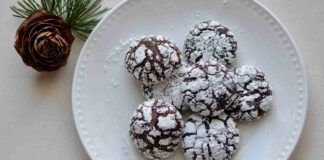 Scopri la magia dei Biscotti lievitati al cioccolato: una fusione di sapori e tradizioni tutta da gustare
