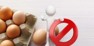 Salmonella nelle uova e richiamo alimentare immediato, marche e lotti