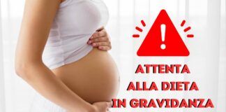 Dieta in gravidanza quella vegana è sconsigliata per uno studio