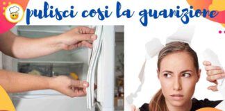 La guarnizione del frigo è sporca È arrivato il momento di pulirla come si deve