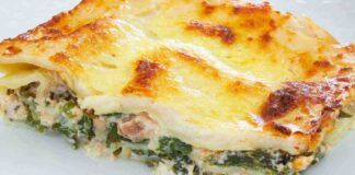 Ricetta delle lasagne di zucchine - RicettaSprint