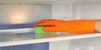 Metti una spugna nel frigorifero - RicettaSprint