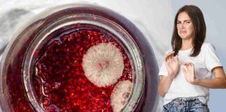 Muffa nella marmellata la devi buttare? - RicettaSprint