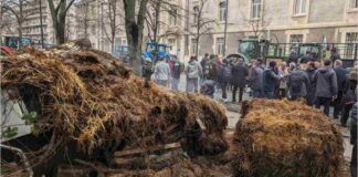 Agricoltori in rivolta contro la UE, i motivi di tanta rabbia