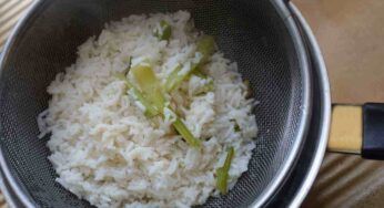 Un primo piatto light per iniziare la dieta, andiamo di risotto e prepariamolo con i finocchi
