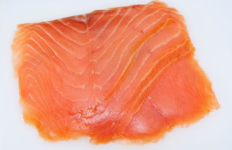salmone