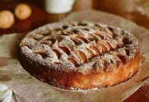 Ci metti l’avena e le albicocche fresche: in 5 minuti prepari una torta morbidissima da mangiare anche tutti i giorni Ci metti l'avena e le albicocche fresche: in 5 minuti puoi preparare una torta morbidissima da mangiare anche tutti i giorni