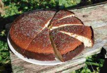 La preparo tutti i gironi questa torta perchè non mi ingrasssa, è senza zucchero solo 200 kcal