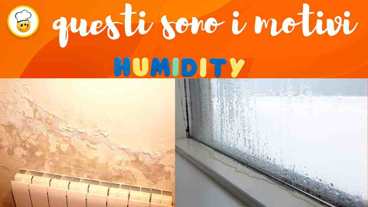 Troppa umidità in casa Stai attenta possono essere questi i motivi
