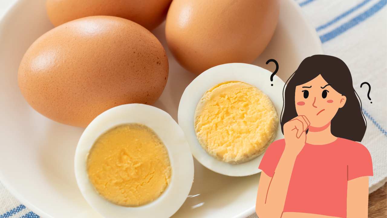 Come conservi le uova sode, attento a possibili contaminazioni