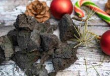 Carbone dolce della Befana, questo é al cioccolato senza cottura: molto più buono di quello di zucchero