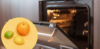 Arancia e limone per pulire il forno - RicettaSprint