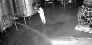 Un personaggio misterioso penetra in una cantina di notte e fa scorrere ettolitri di vino causando un danno economico enorme