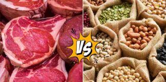Carne o legumi, cosa è più indicato mangiare per avere più proteine?