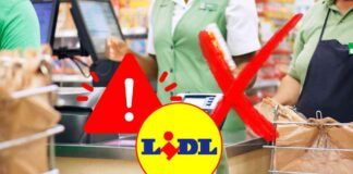 Richiamo alimentare di LIDL per dei mirtilli americani giganti