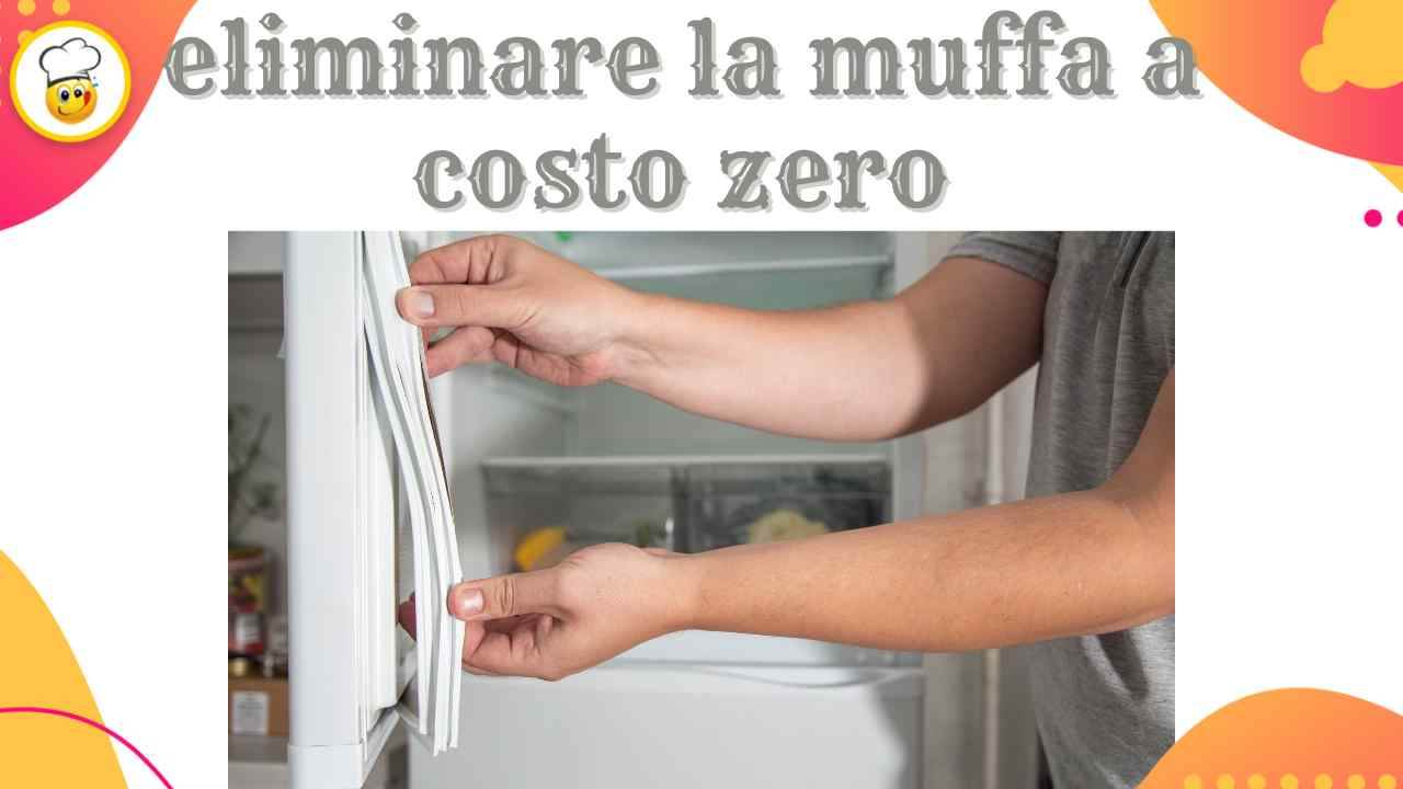 La guarnizione del frigorifero è piena di muffa? Non sostituirla ti do la  soluzione ecologica a costo zero 