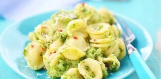 Pasta con crema di vegetariana - RicettaSprint