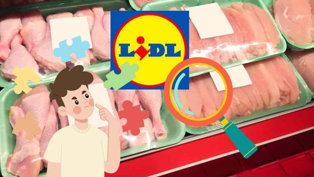 Fascia Toracica Per Cardiofrequenzimetro PRATYAHARA - 2 Pezzi, Elastica, Compatibile Con Geonaute E Sensori ANT+/Bluetooth - Foto 3