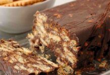 Ti faccio fare un plumcake senza forno occorrono solo dei biscotti vecchi, farai un figurone con gli ospiti Ti faccio fare un plumcake senza forno occorrono solo dei biscotti vecchi, farai un figurone con gli ospiti