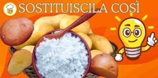 Ti manca la fecola di patate in dispensa Nessuno problema puoi tranquillamente sostituirla così