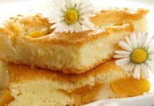 Una bottiglia e delle pesche sciroppate ti servono per preparare questo dolce leggerissimo, mangi e non ingrassi