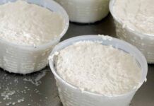 Ho provato a fare delle praline- tartufini, con quello che mi era rimasto della ricotta, li ho fatti ma sono finiti in un lampo