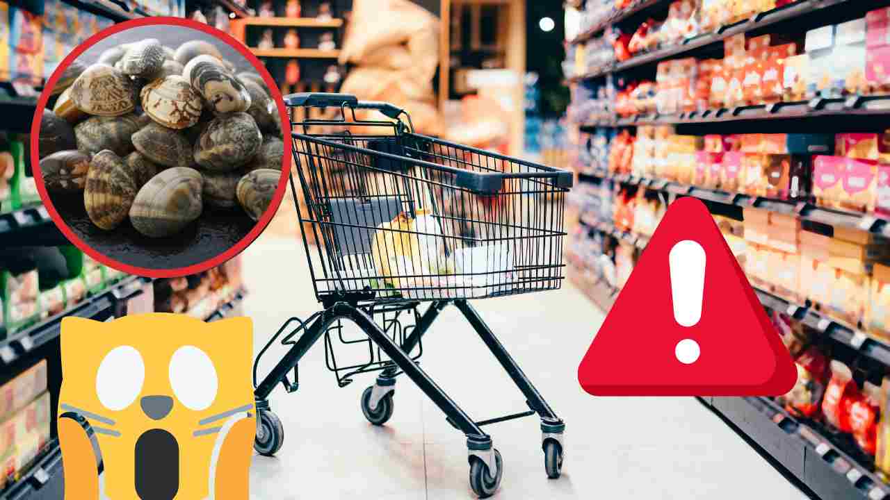 Escherichia coli in cinque lotti di vongole e richiamo alimentare immediato