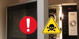 Quali oggetti non devi mai e poi mai inserire nel forno a microonde