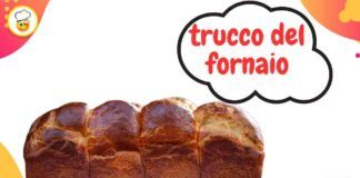 Pan brioche bicolore come il fornai, segui i trucchi per un risultato impeccabile