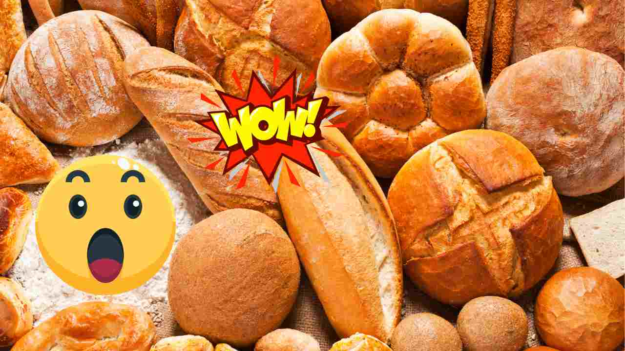 Che ruolo svolgono i tagli sul pane? Sono indispensabili
