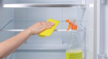 Frigo sempre perfetto: scopri il metodo definitivo per la pulizia
