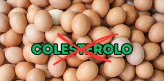 Uova e colesterolo non hanno alcun legame, lo studio