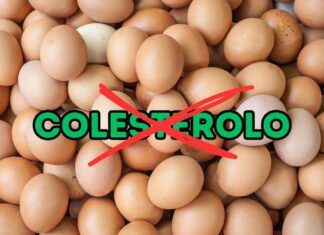 Uova e colesterolo non hanno alcun legame, lo studio