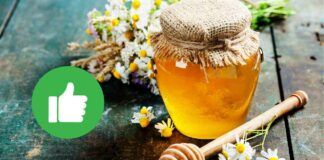 Come riconoscere il miele bio da quello normale
