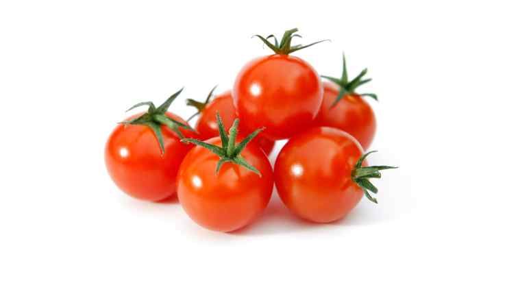 pomodorini