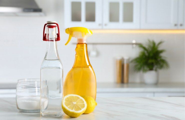Come sostituire il detersivo per lavare i piatti con un metodo più economico ed ecologico