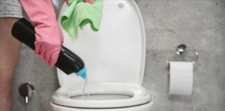 Calcare nel water, prova il rimedio infallibile di mia nonna, va subito via - RicettaSprint
