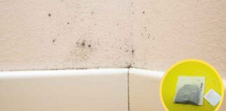 Per eliminare l'umidità in casa mi bastano tre bustine di te, basta spendere soldi inutilmente! - RicettaSprint