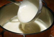 Besciamella senza latte e burro, così diventa ancor più buona e leggera adatta a tutti! - RicettaSprint