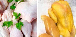 Quali sono le differenze tra la carne di pollo bianca e la carne di pollo gialla
