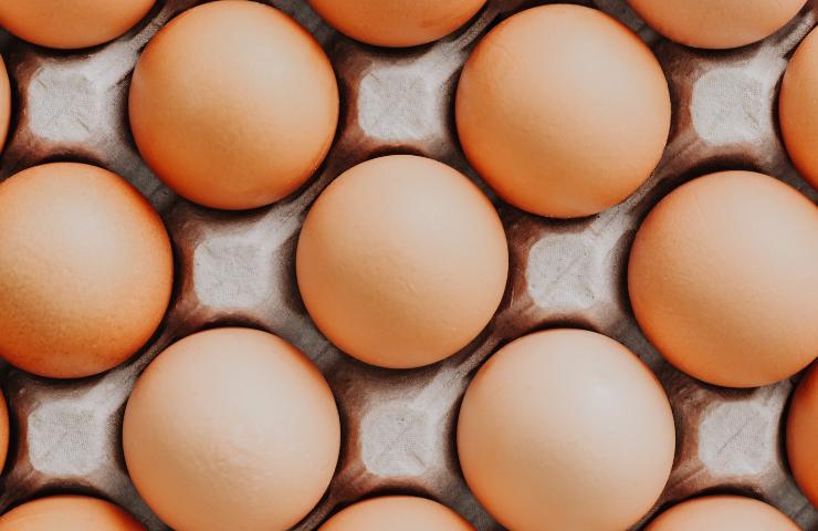 ¿Cuántos huevos debes comer por semana?  Tamaño recomendado