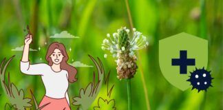 Che cosa prendere per ridurre le infiammazioni e cosa fare, i rimedi naturali consigliati