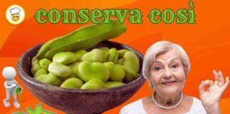 Fave fresche in esubero Conservale così come fa la nonna