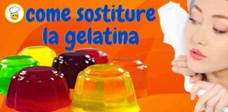 Gli addensanti che puoi usare per sostituire la gelatina in cucina